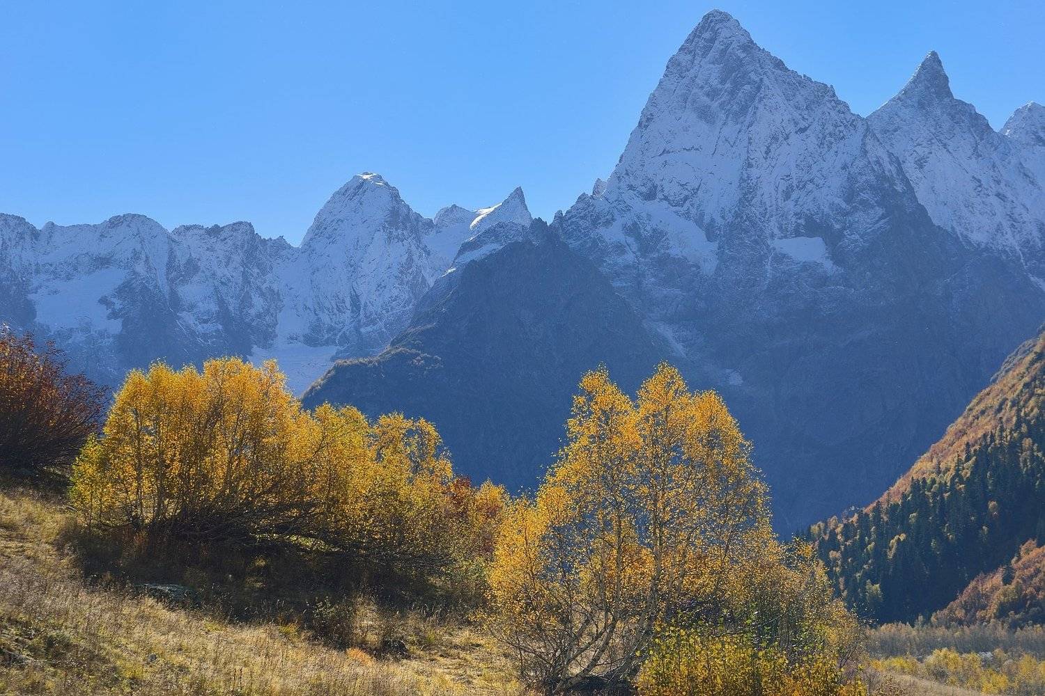 горы осень домбай утро клухор, Александр Жарников