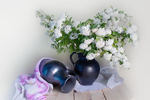 Цветы майского дерева.
