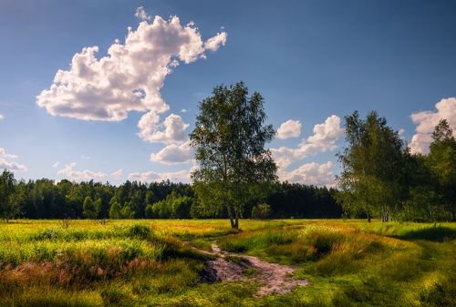 Ни ветерка, ни крика птицы среди вечерней тишины (А.Блок)