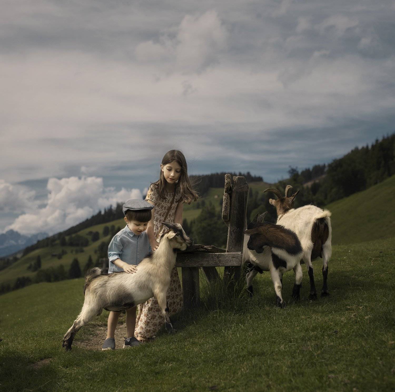 , Desislava Kuleshova