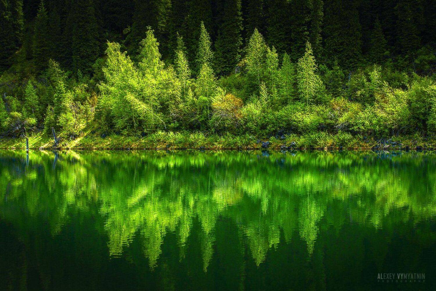 , Алексей Вымятнин