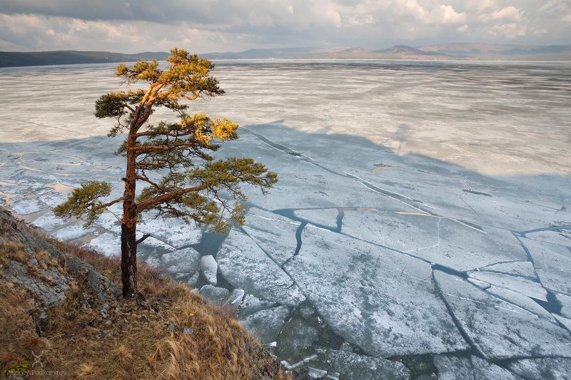 тургояк, урал, подкорытов, южный урал, turgoyak, ural, podkorytov Пробуждение фото превью