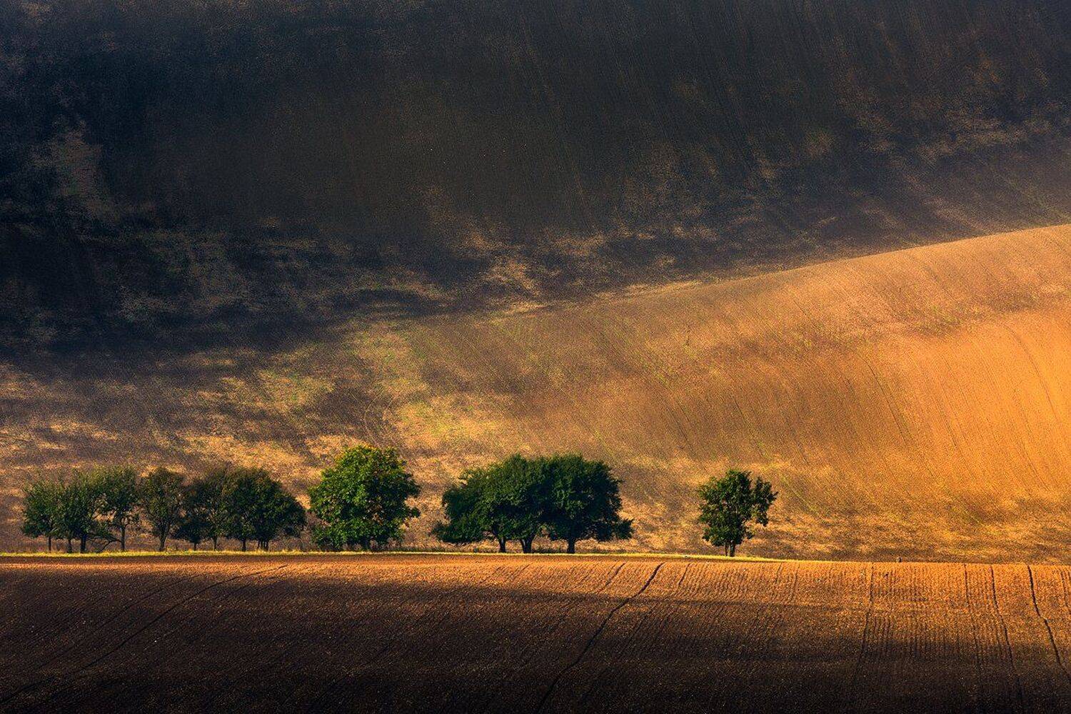 landscape,canon,light,autumn,moravia, Iza i Darek Mitręga