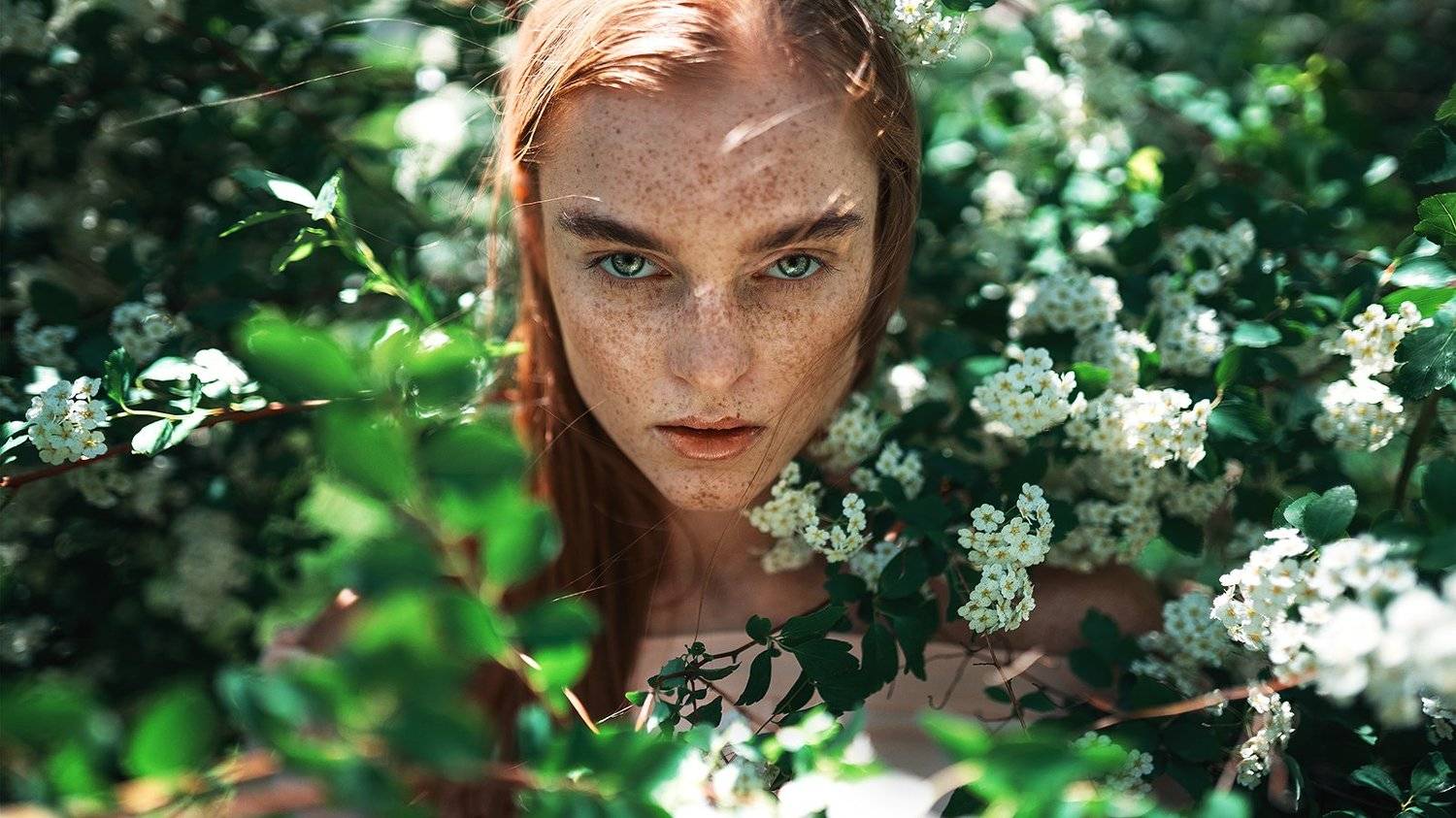 , Максим Густарев