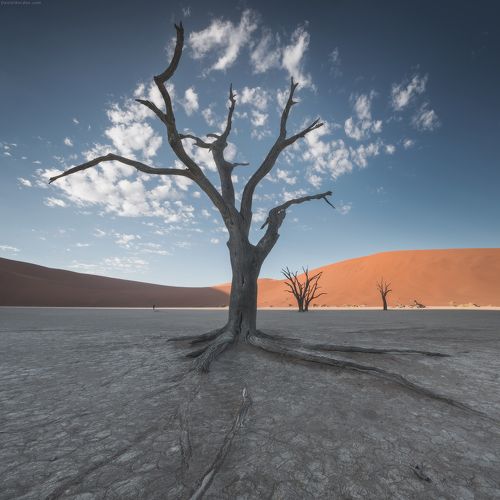 Мечты о весне