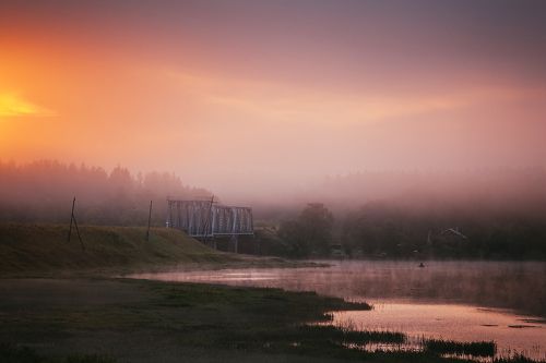 Сиреневый туман