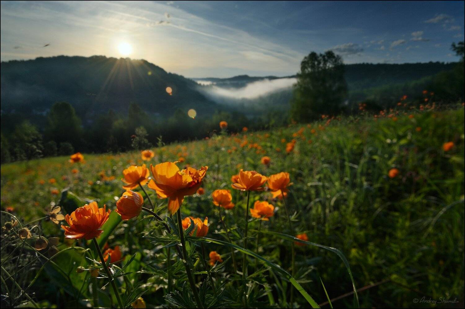 , Андрей Шумилин