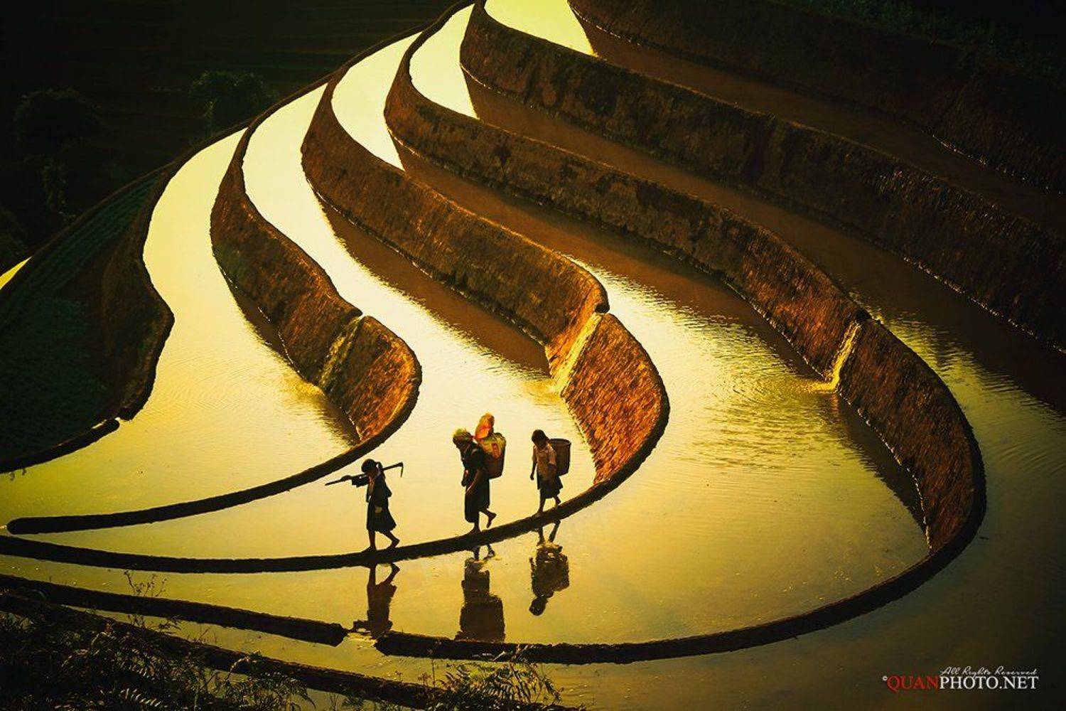 quanphoto, landscape, sunlight, water, people, ethnic, reflections, farming, farmland, agriculture, farmers, terraces, shadow, mucangchai, yenbai, vietnam, quanphoto