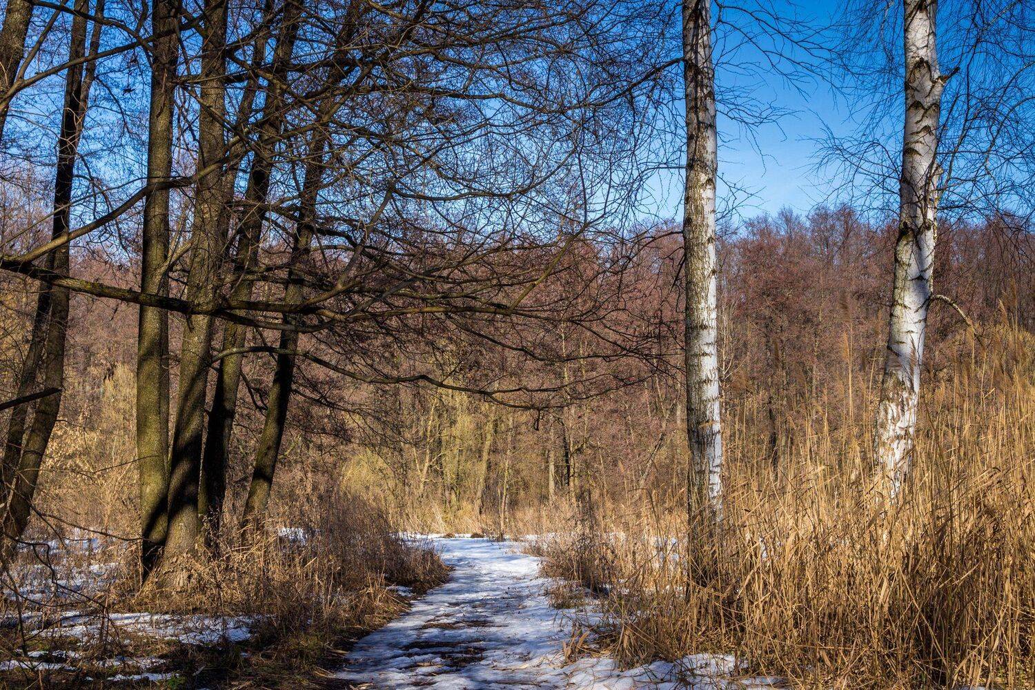 , Руслан Востриков