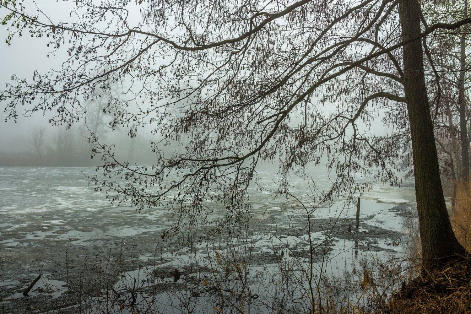 , Руслан Востриков