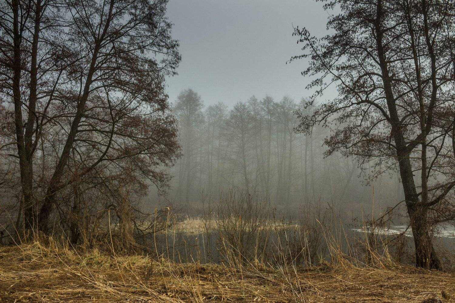 , Руслан Востриков