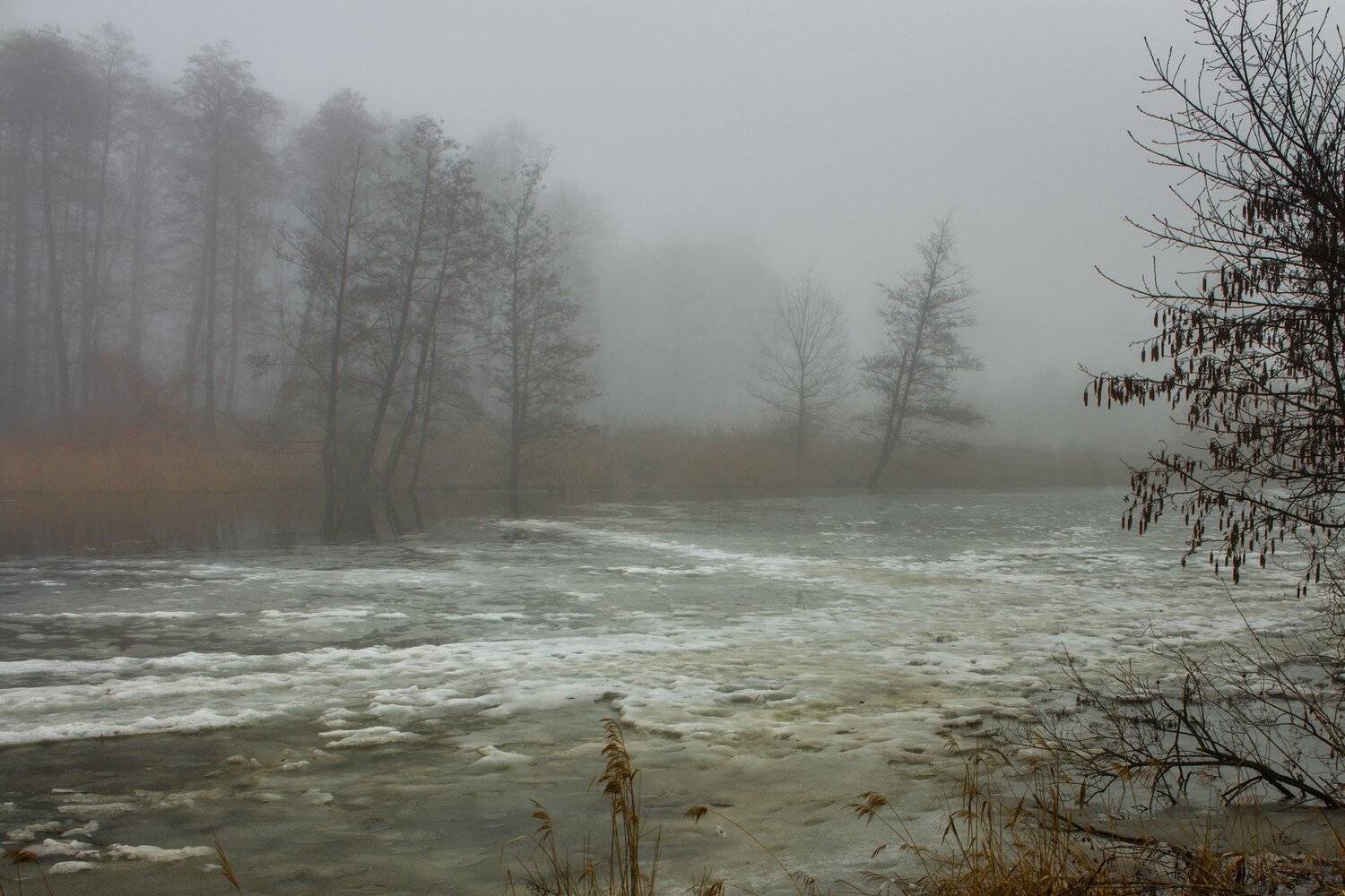 , Руслан Востриков