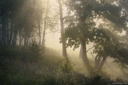 Утро на Дубнике