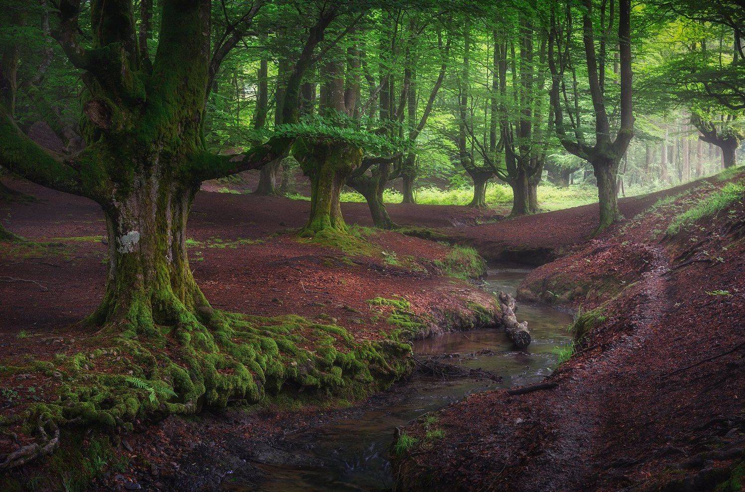 , Сергей Давыдов