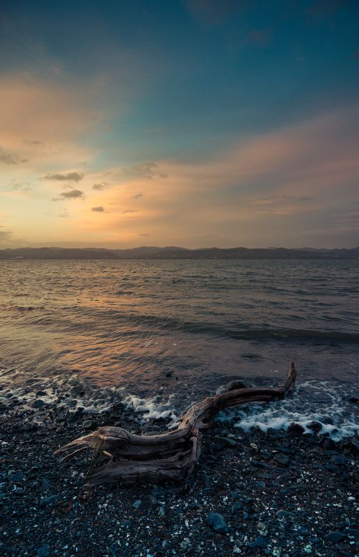 Изнеможденный сушей фото превью