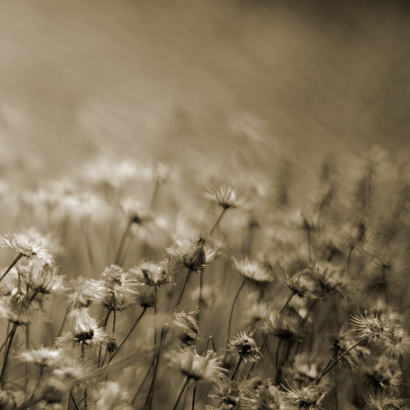 ... фото превью