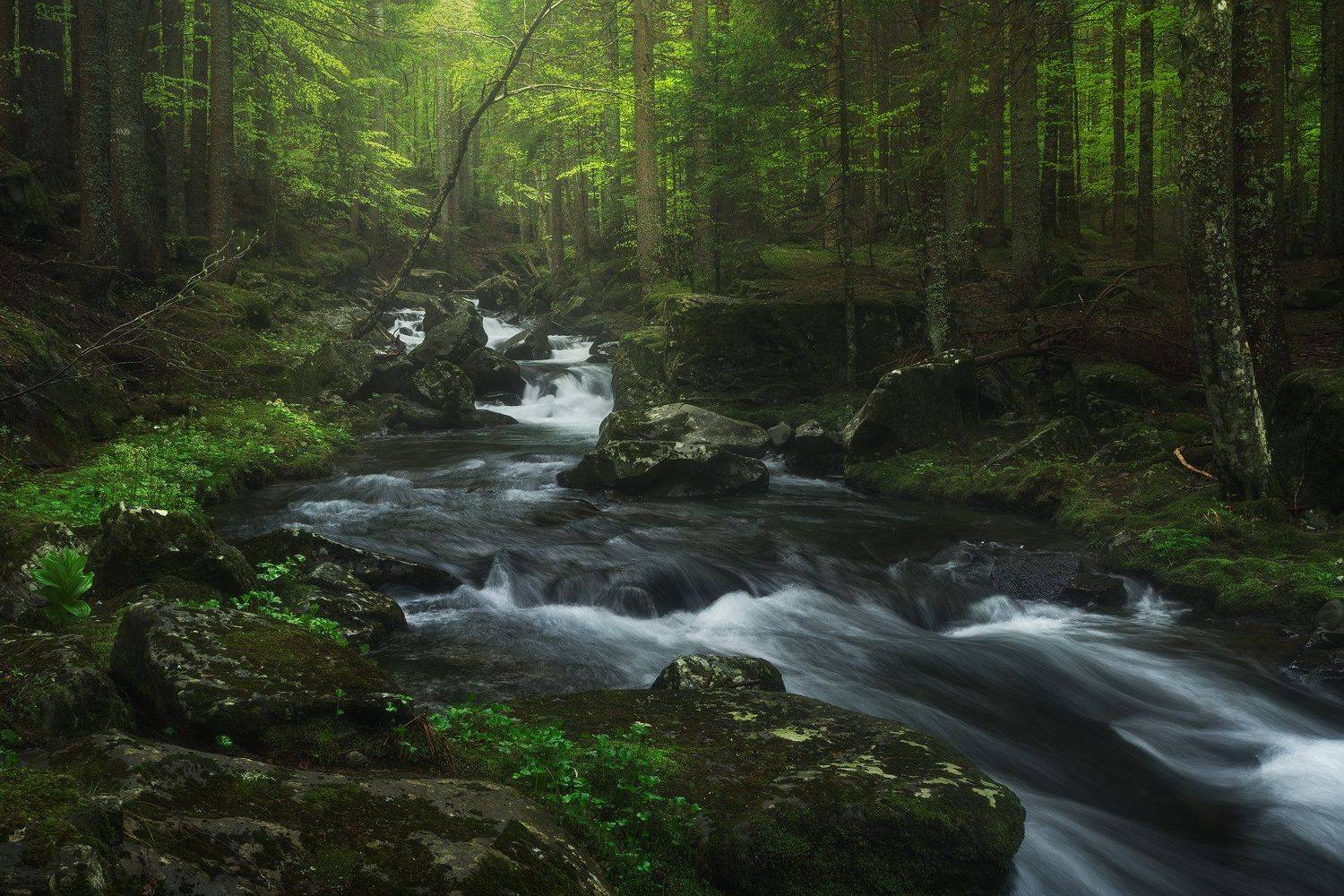 , Бахышев Сафар