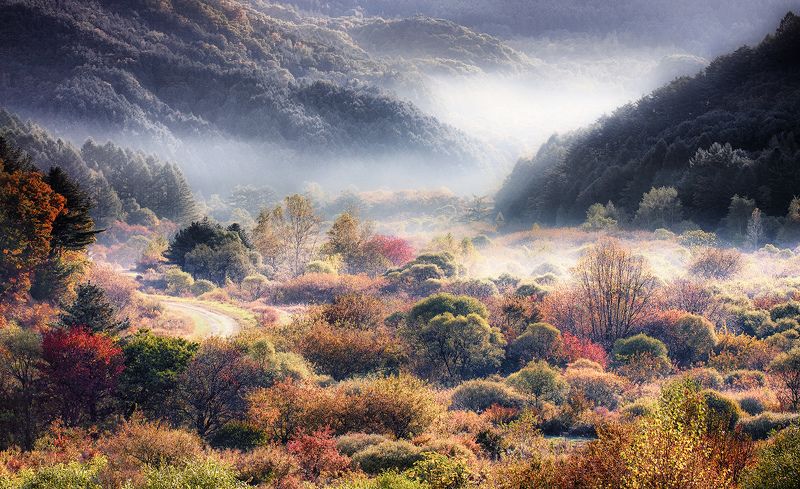 memory of my mind фото превью