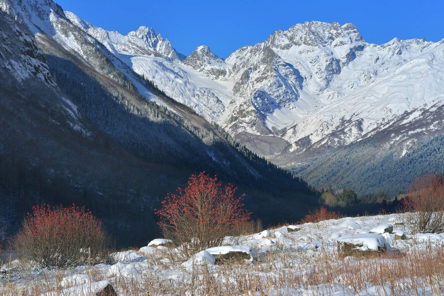 горы зима домбай, Александр Жарников