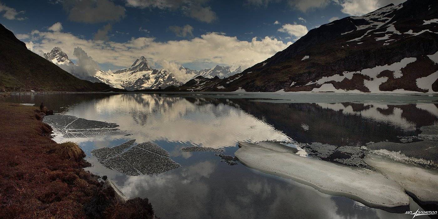 swiss, Матвеев Николай