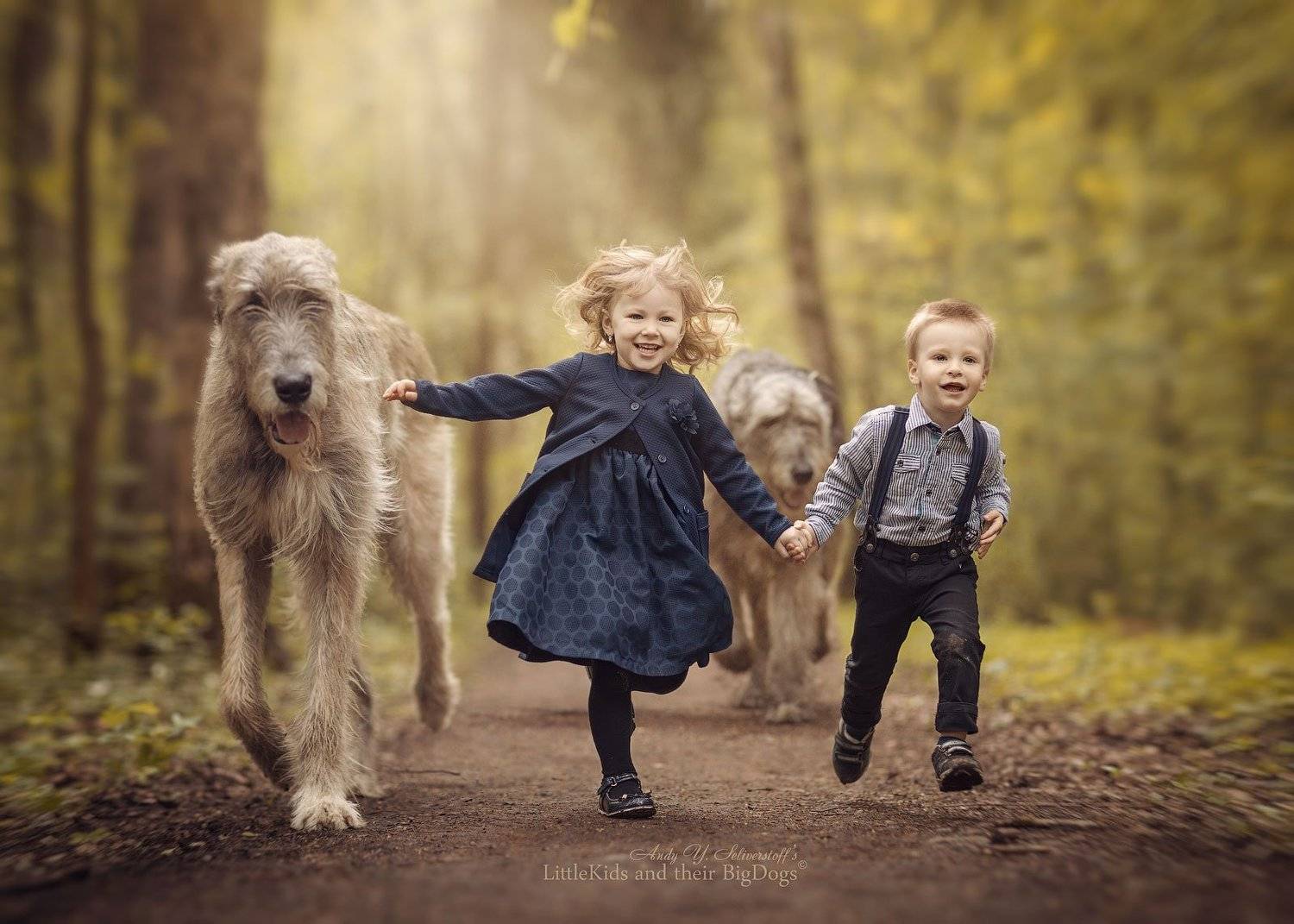 , Андрей Селиверстов