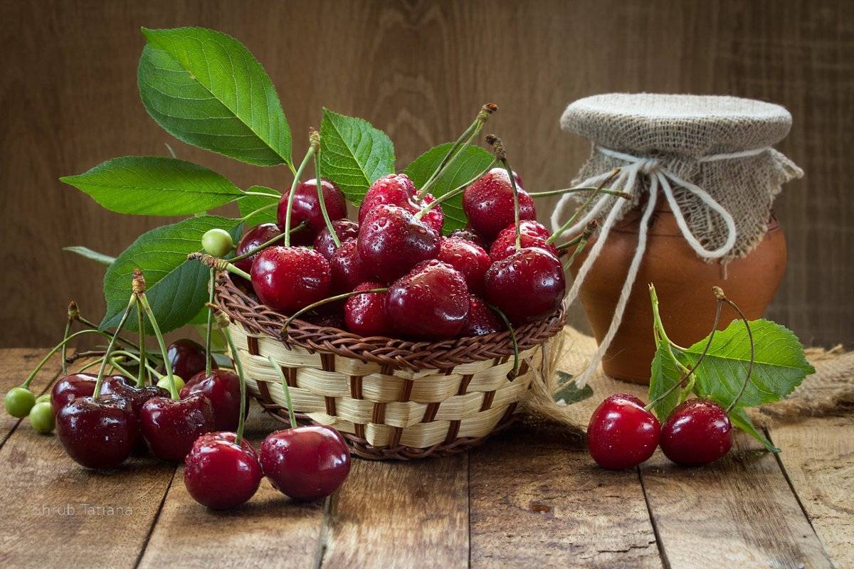 натюрморт, ягоды, черешня, крынка, Шруб (Беляева) Татьяна