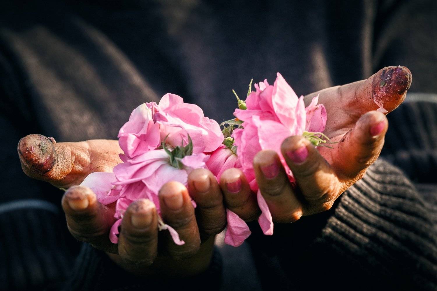 , Ирина Костова