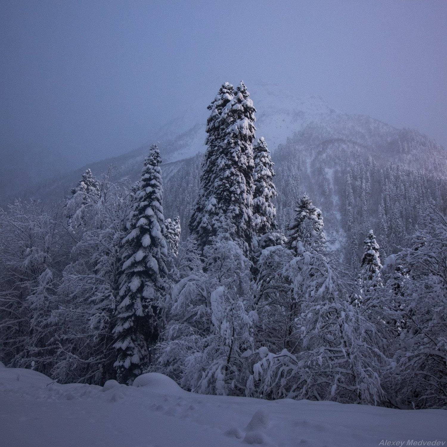 кавказ, домбай, зима, утро, снег, ущелье, горы, Алексей Медведев