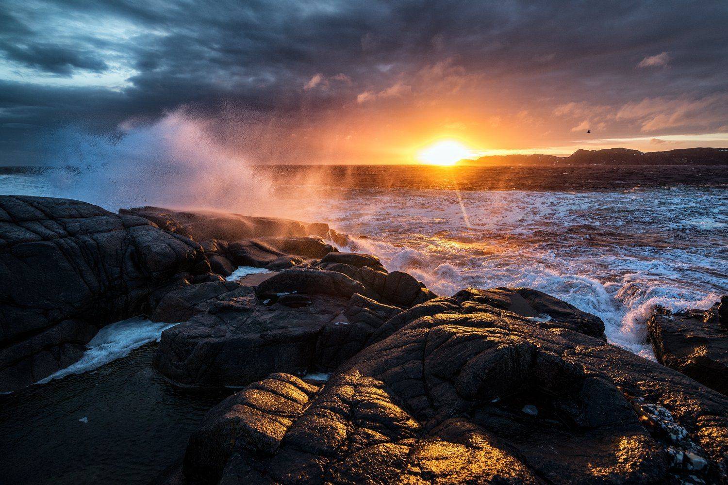 полярный день море баренцево, Daemus