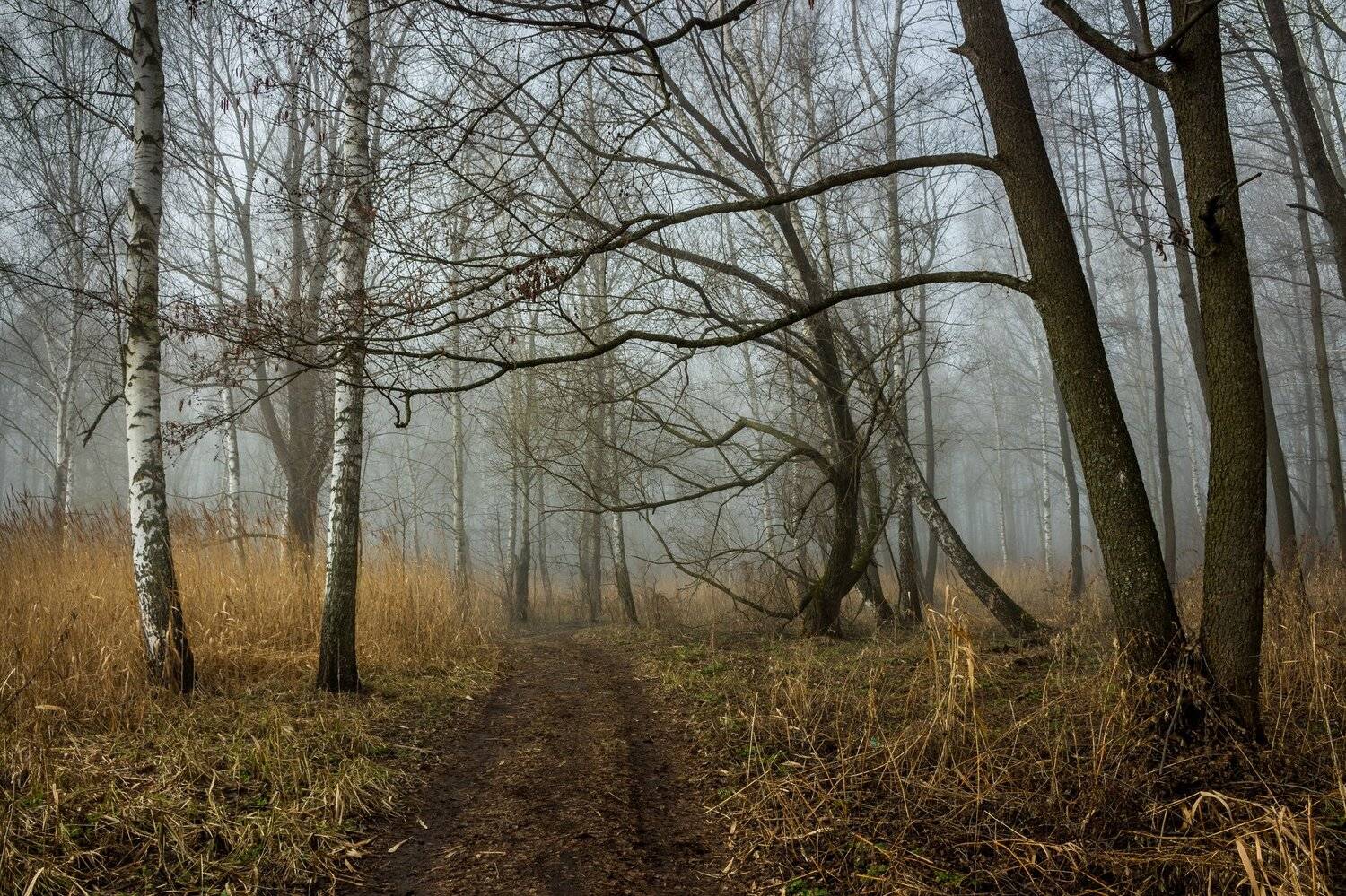 , Руслан Востриков