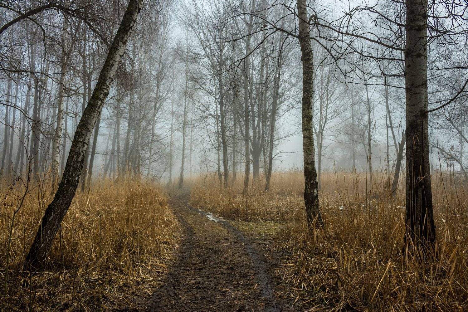 , Руслан Востриков