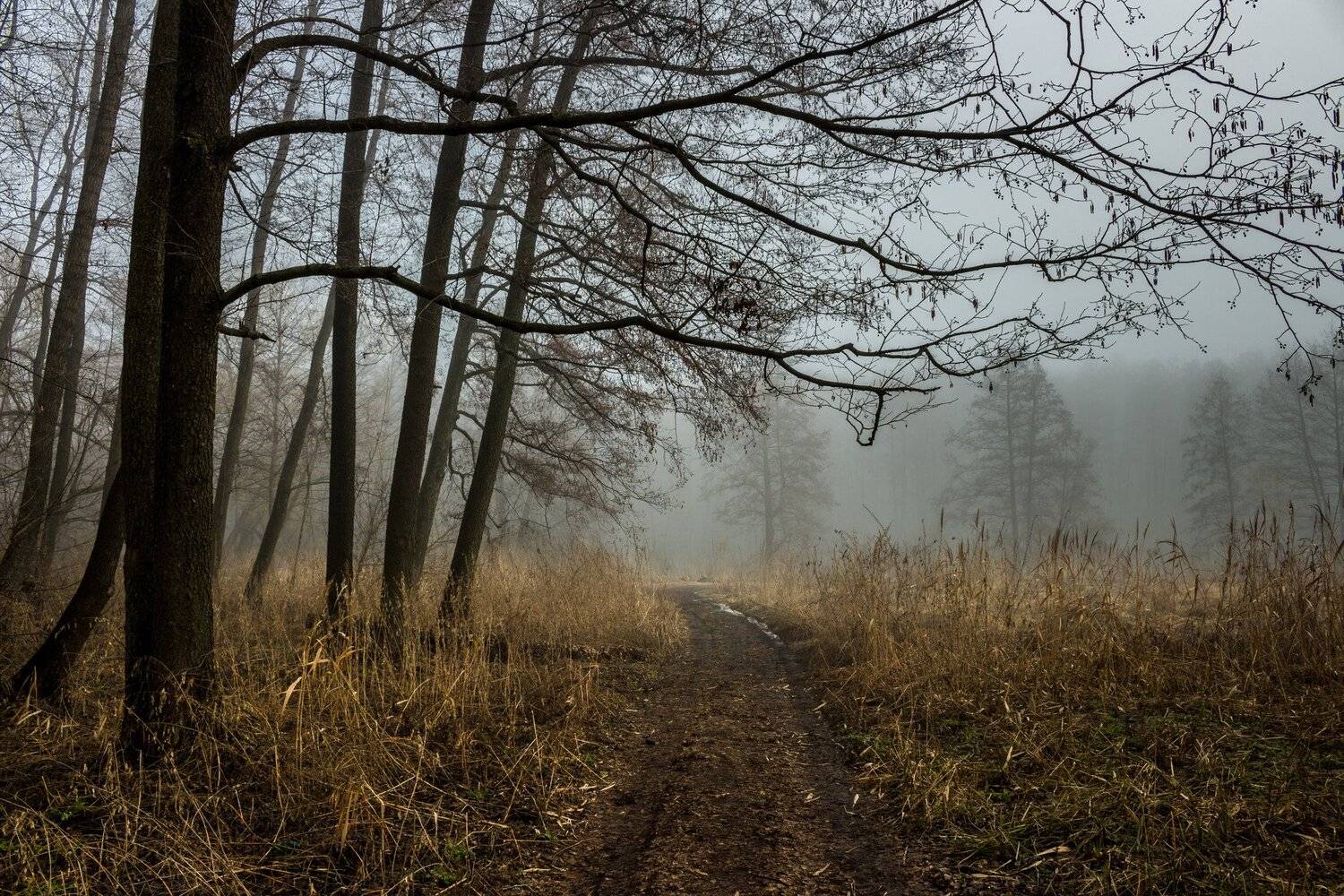 , Руслан Востриков