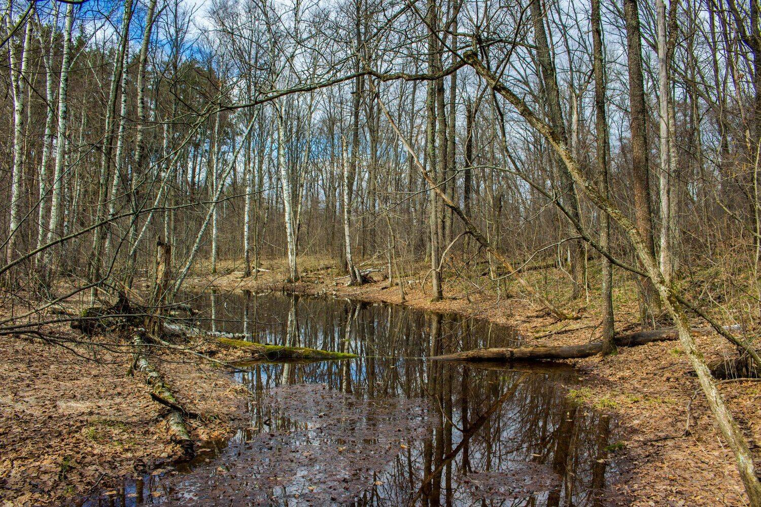 , Руслан Востриков