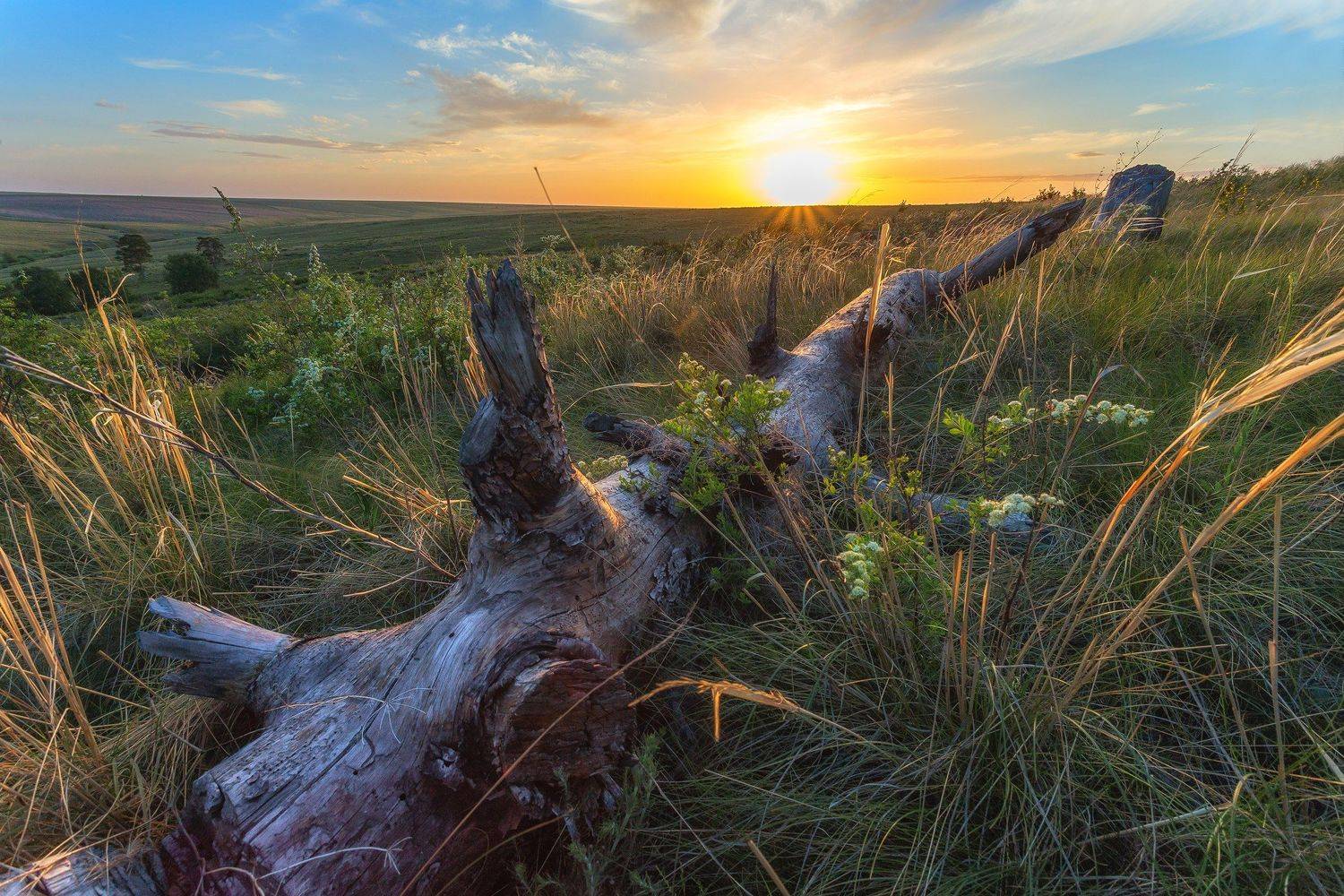 , Павел Сагайдак