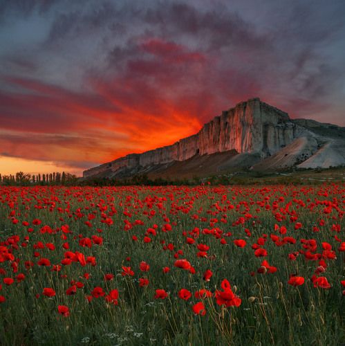 Белая Скала. Крым.