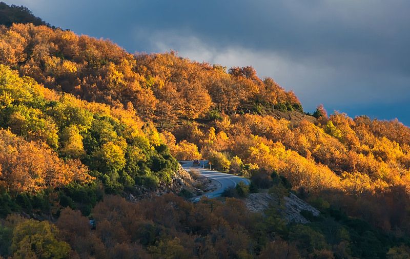 Landscape Autumn colors фото превью
