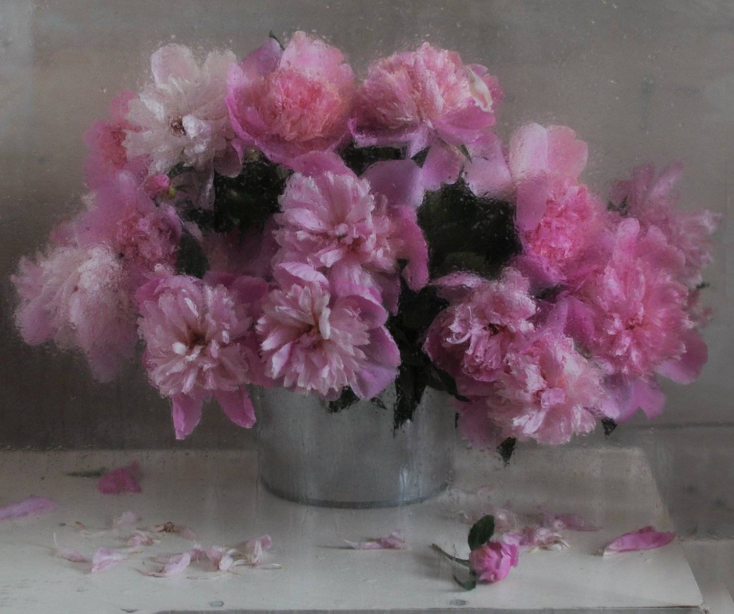 , Рудая Галина