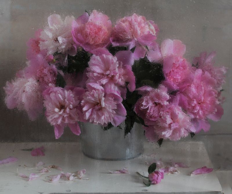 Ароматом пьянящие... фото превью