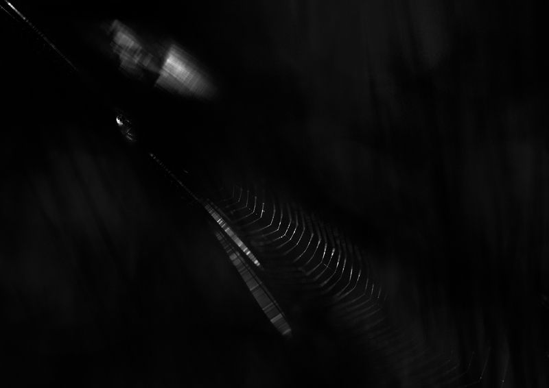 Наощупь фото превью