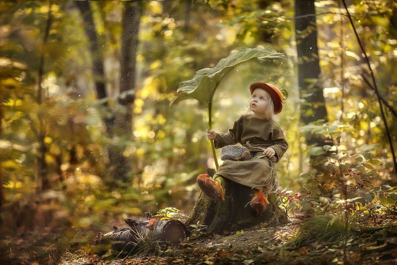 лесной гномик фото превью