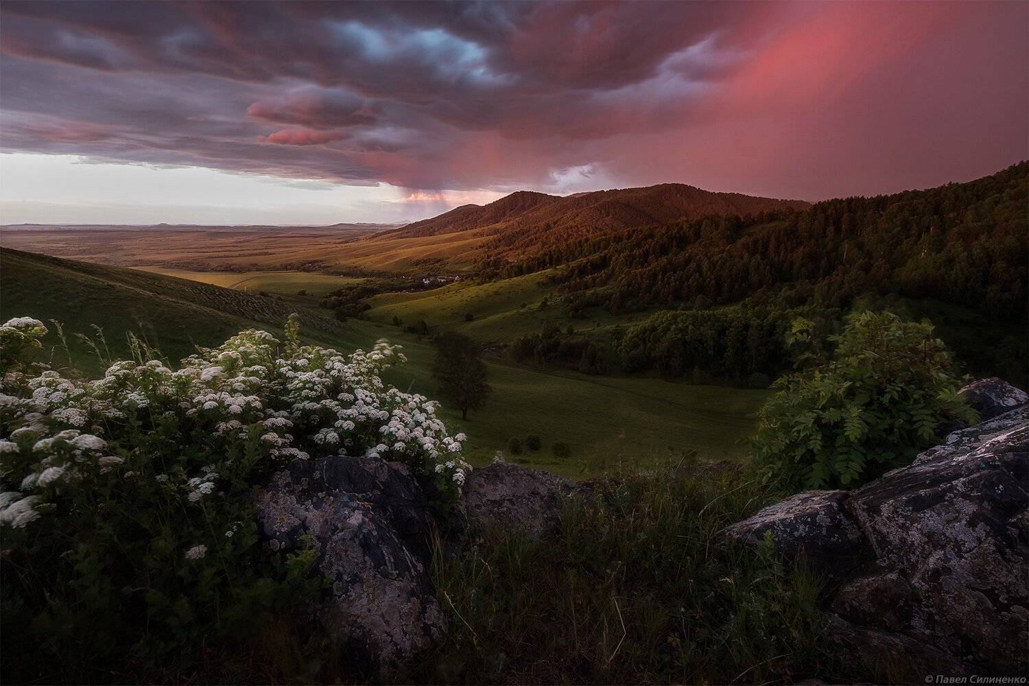 алтай, белокуриха, пейзаж, закат, вечер, лето, скалы, горы, небо, облака, цветы, Павел Силиненко