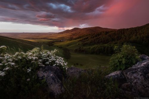 Перед грозой