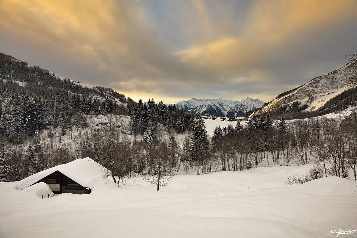 swiss, Матвеев Николай