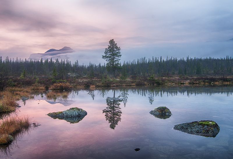 Гармония севера фото превью
