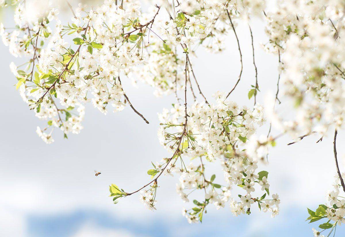 , Наиля Гарифуллина