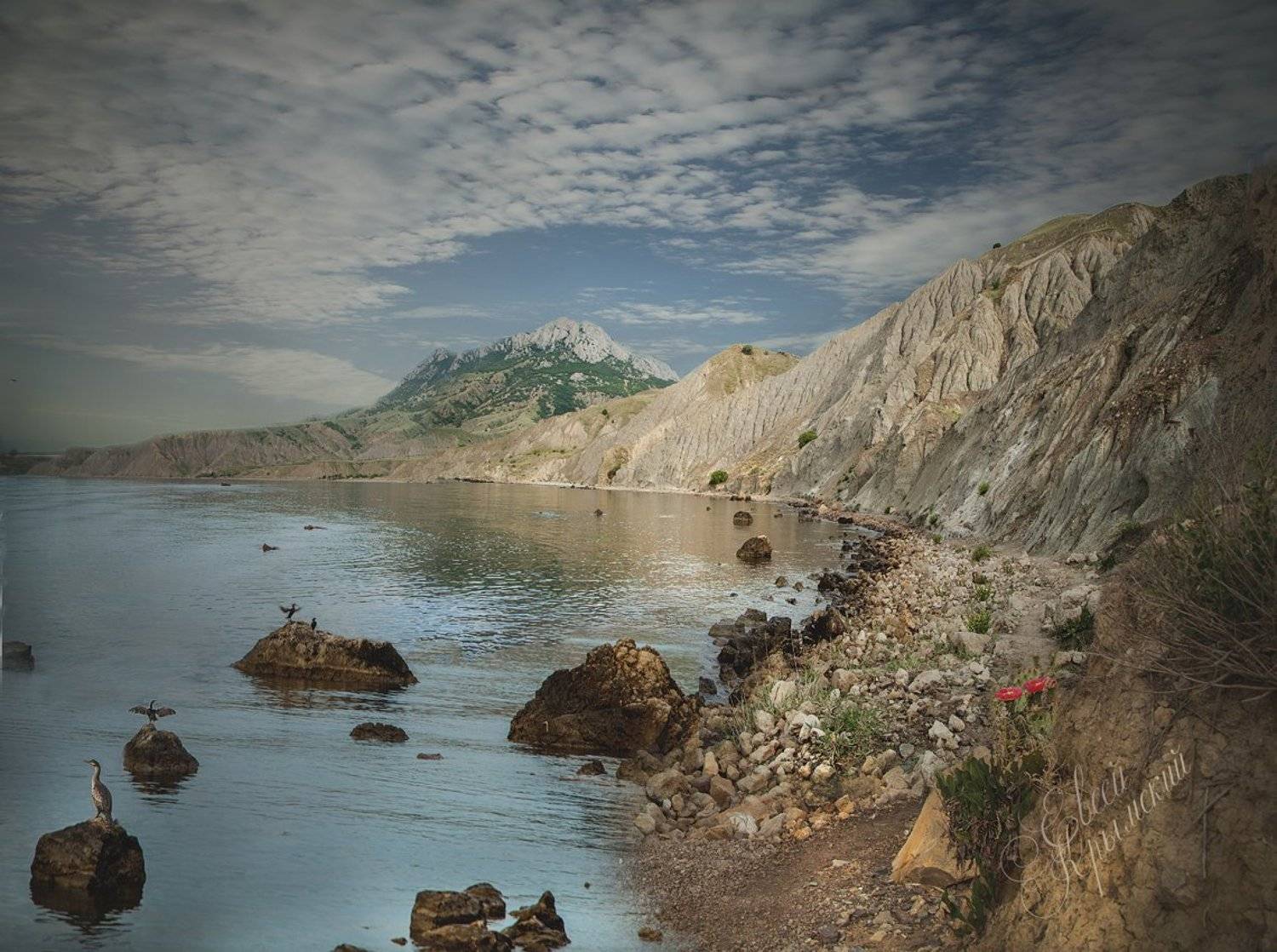 , Борис Костарев