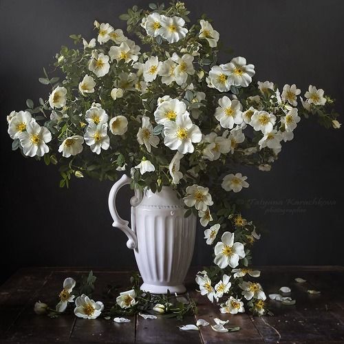 Букет из веток белого шиповника