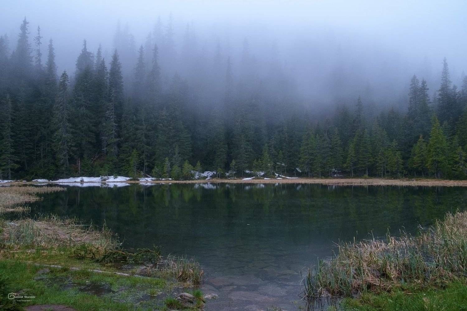 карпаты., украина., зима., пейзаж., снег., карпатский., гора., красивый., небо., природа., дерево., холод., мороз., путешествия., белый., сезон., ель., лес., фон., снежный., горы., зимний., утро., отдых., солнце., лед., изморозь., иней., сцена., синий., с, Леонид Морозов