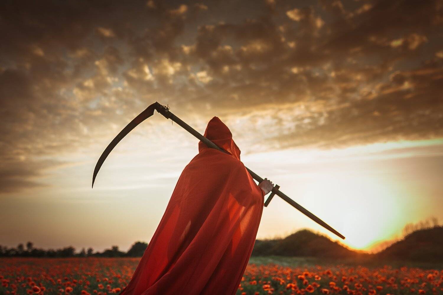 коса закат маки красный, Вероника Гергерт