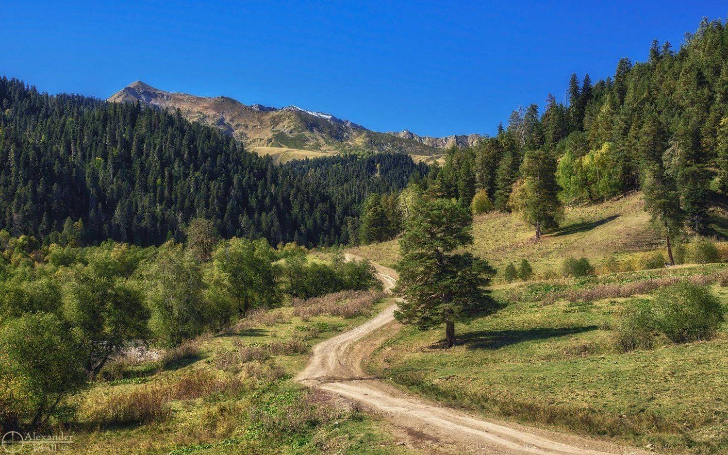 , Александр Круль